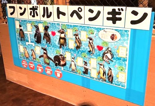 DMMかりゆし水族館_03