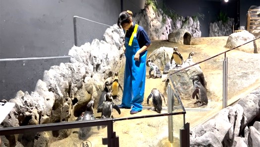 DMMかりゆし水族館_04