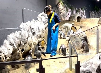 DMMかりゆし水族館_04