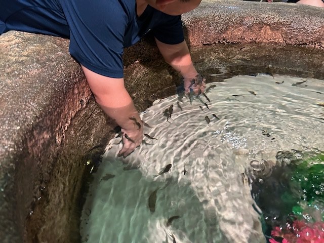 DMMかりゆし水族館_06