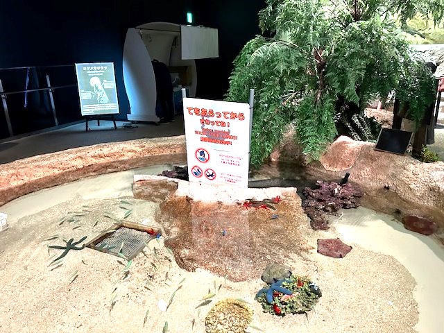 DMMかりゆし水族館_07