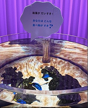 ニフレル_07