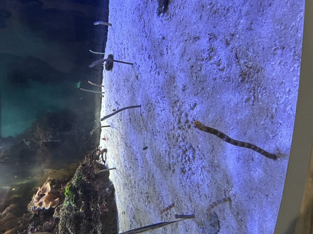 名古屋港_10