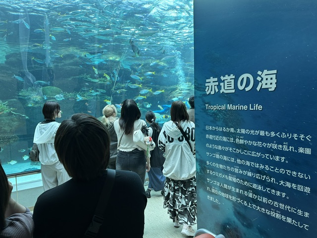 名古屋港_11