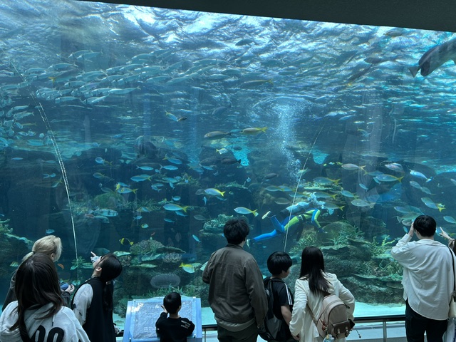 名古屋港_12