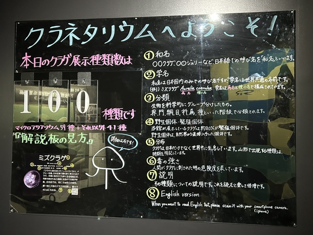 かもすい_09