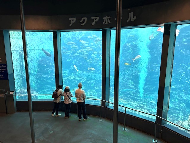 下田海中水族館_03