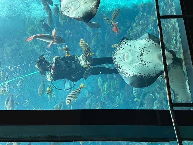下田海中水族館_05