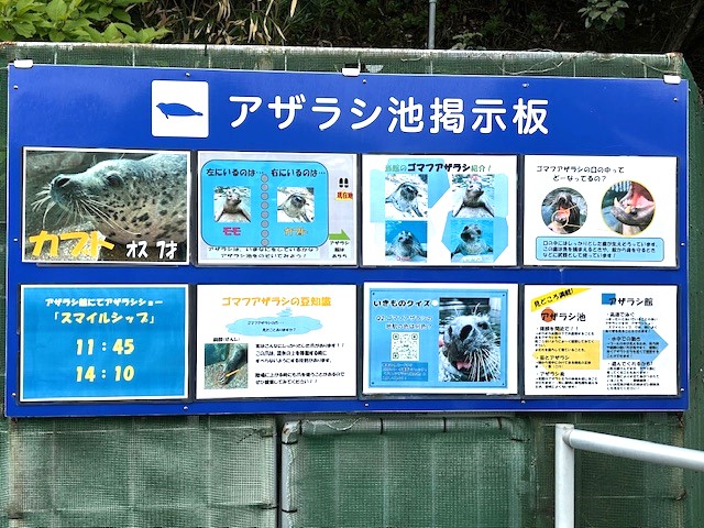 下田海中水族館_08
