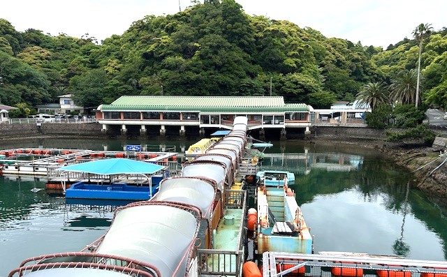 下田海中水族館_11