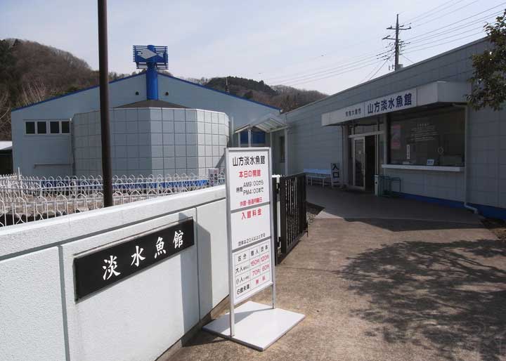 山方淡水魚館