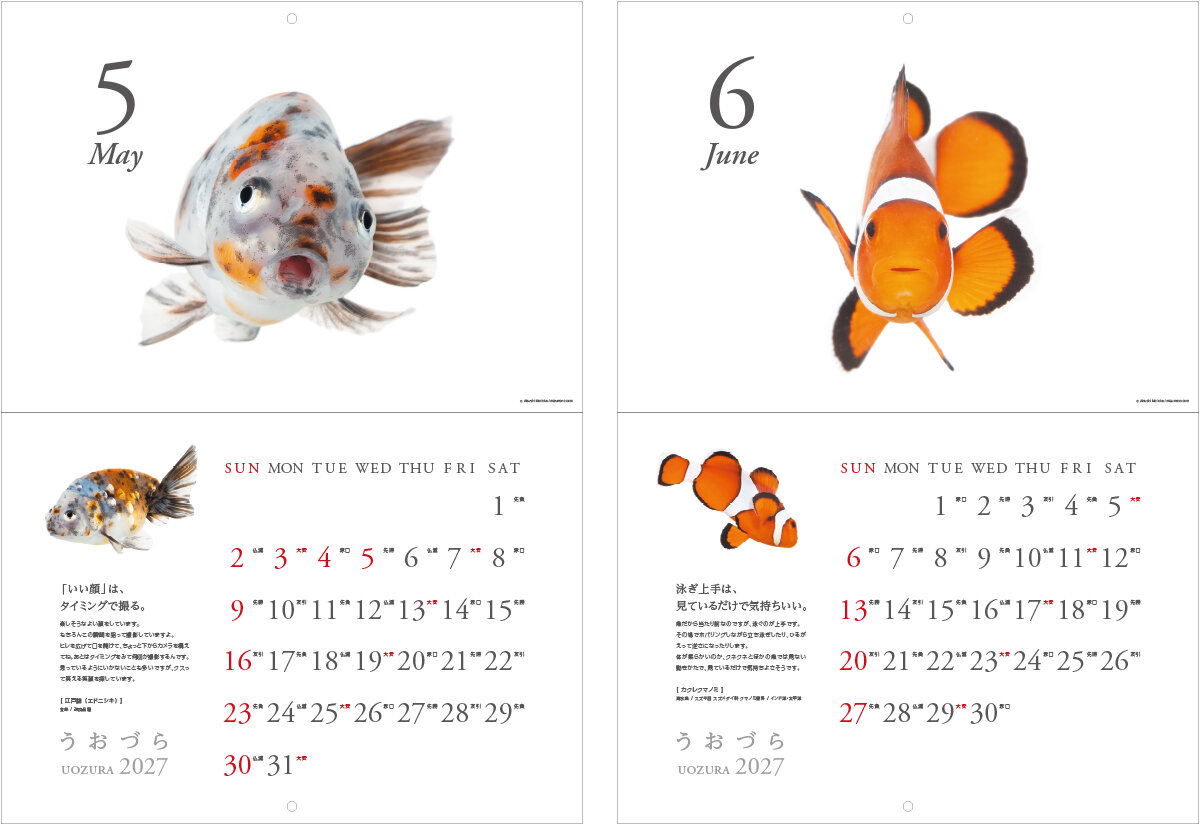calendar2027kn_a05.jpg