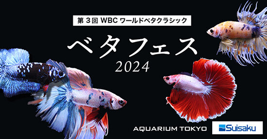 aqtokyo202402.jpg