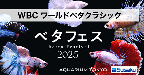aqtokyo202502.jpg