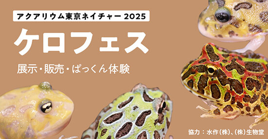 aqtokyo202503.jpg