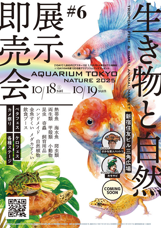 aqtokyo2025_poster.jpg