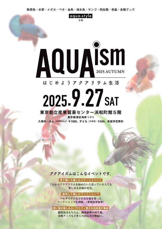 aquaizm_2025092701.jpg