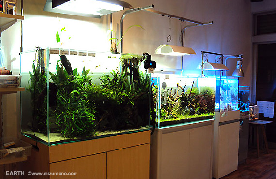aquariumshop EARTH