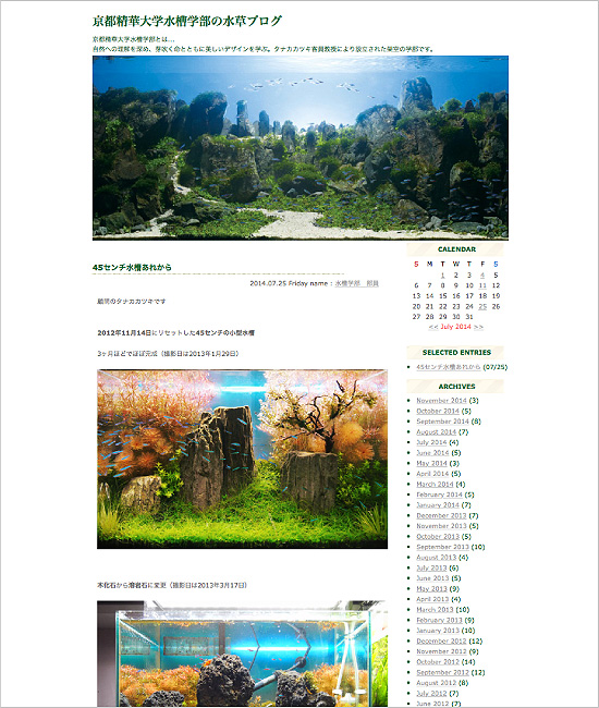 京都精華大学水槽学部の水草ブログ