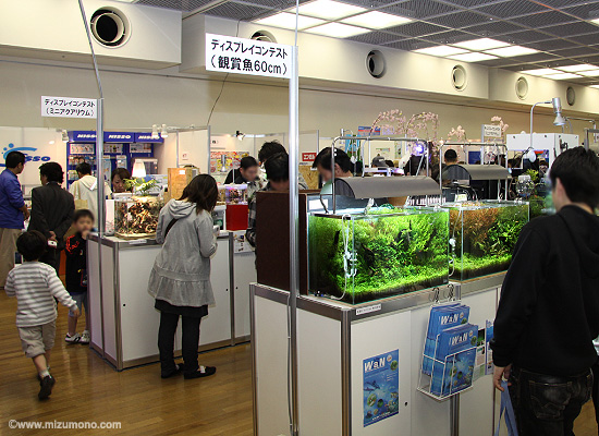 昨年の日本観賞魚フェア