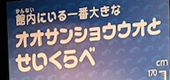 水族館にいこう！