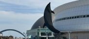 水族館にいこう！