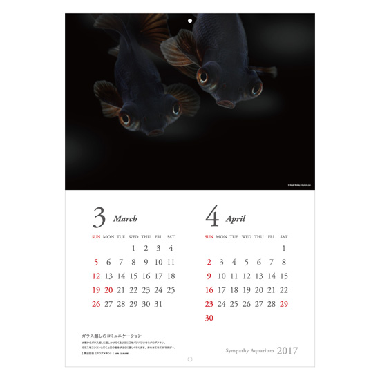 calendar2017_b04.jpg