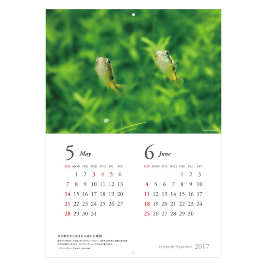 calendar2017_b05.jpg