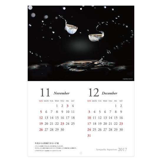 calendar2017_b08.jpg