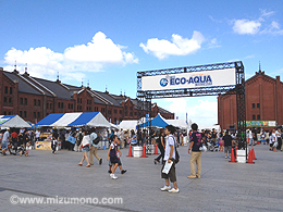 横浜ECO-AQUA（エコアクア） 魚の学校2012みずものコムブース