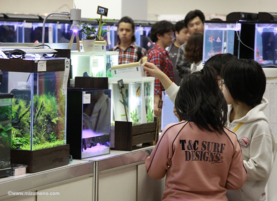 2013日本観賞魚フェア