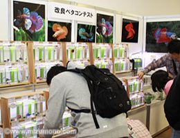 2016年 第34回 日本観賞魚フェア