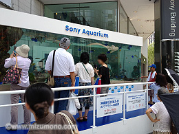 45th Sony Aquarium（ソニーアクアリウム）